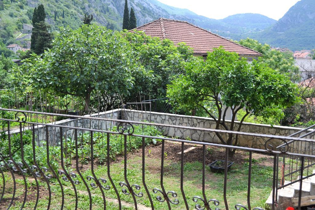 Apartments Villa Marta - Begovic Kotor Bagian luar foto